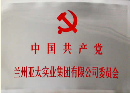 兰州拉斯维加斯游戏3499实业集团有限公司成立党委会专题